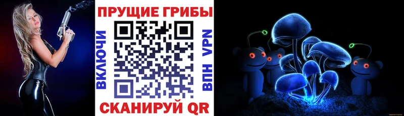 Галлюциногенные грибы мухоморы  даркнет сайт  Никольск 