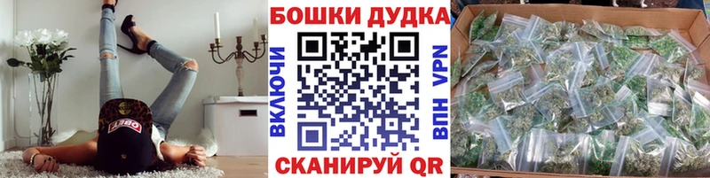 закладка  Никольск  Бошки Шишки семена 